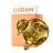 Osram Decor LED Lamp Oro Vetro E27 3.5W 300lm - 827 Bianco Molto Caldo | Sostitutiva 25W