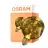 Osram Decor LED Lamp Oro Vetro E27 3.5W 300lm - 827 Bianco Molto Caldo | Sostitutiva 25W