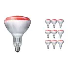 Multipack 10x Philips BR125 IR 250W E27 230-250V Rossa