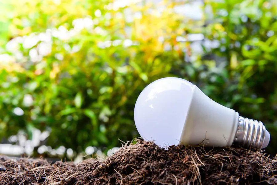 lampadina LED